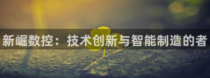 天辰2娱乐:新崛数控:技术创新与智能制造的者
