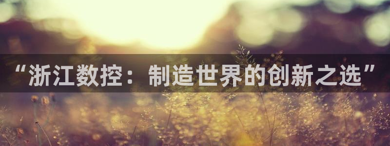天辰娱乐 注册:“浙江数控:制造世界的创新之选”