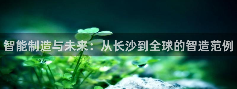 天辰娱乐885544:智能制造与未来:从长沙到全球的智造范例