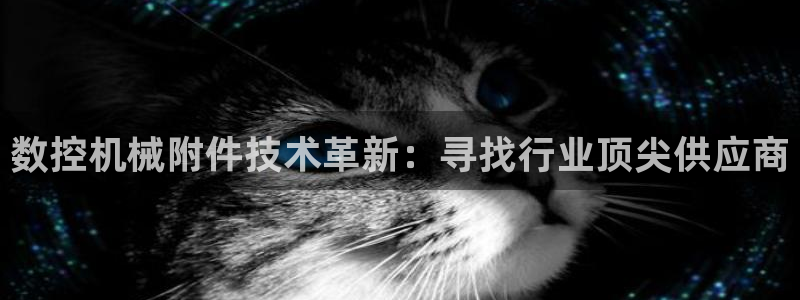 天辰娱乐招商:数控机械附件技术革新:寻找行业顶尖供应商