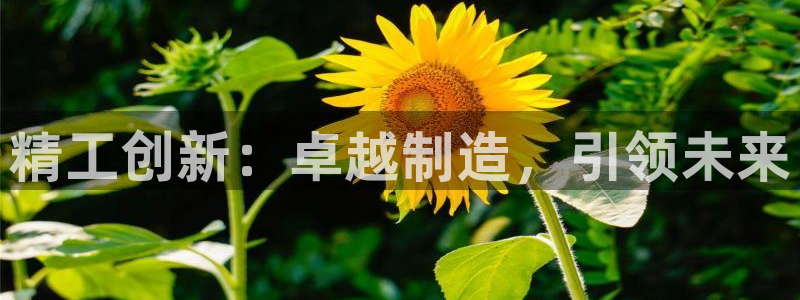 天辰娱乐10086:精工创新:卓越制造,引领未来
