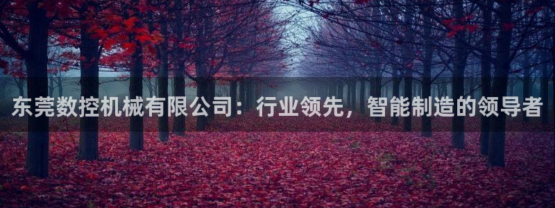 天辰娱乐卡:东莞数控机械有限公司:行业领先,智能制造的领导者